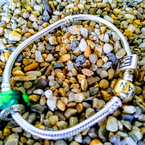 Pandora Charm Bracelet (Band + 2 Charms) - Picture 5 of 7